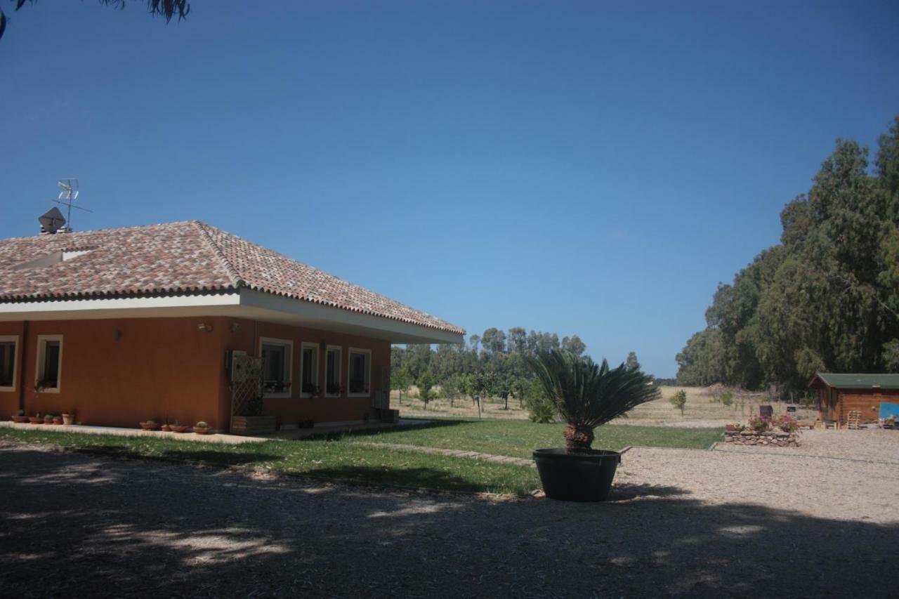 Villa Arzilla Sardegna 阿尔盖罗 外观 照片